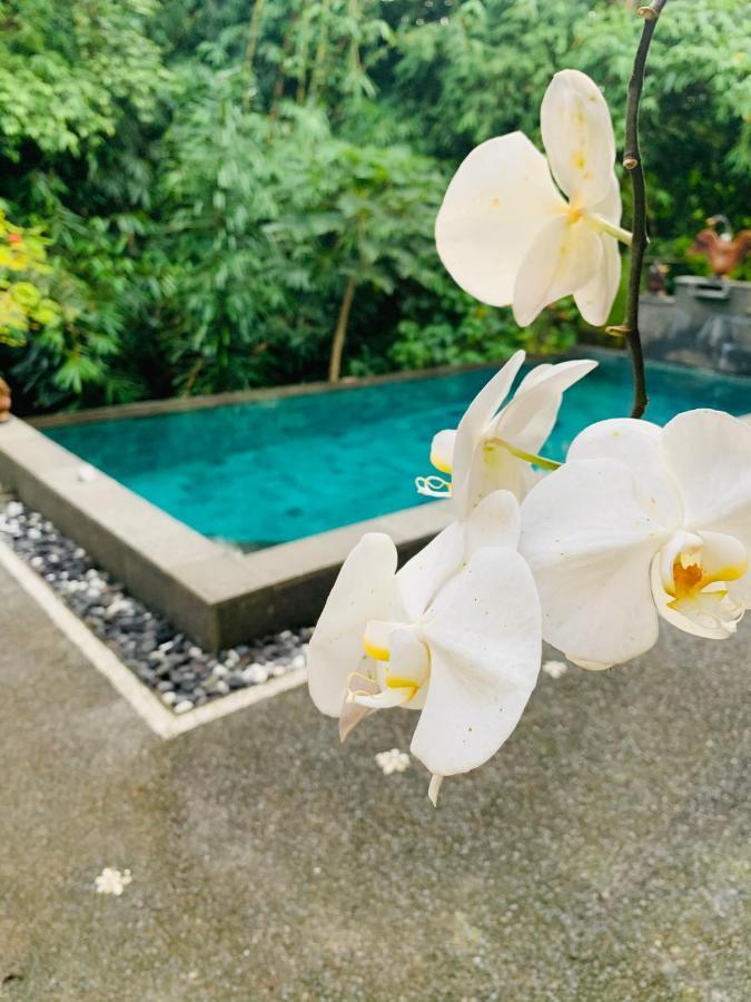 Gek House Ubud Eksteriør billede