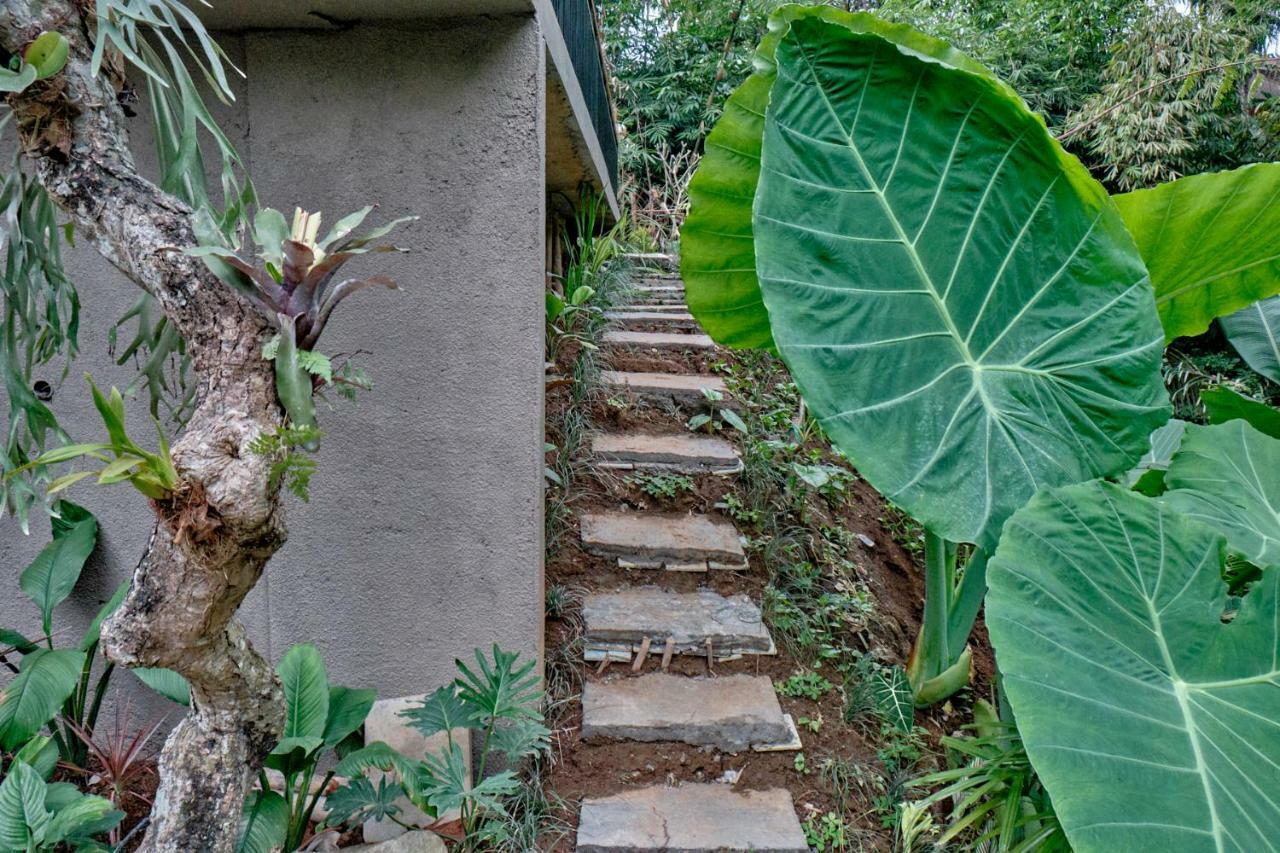 Gek House Ubud Eksteriør billede